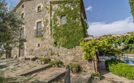 Pool area and grounds